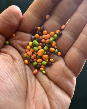 Small candies in hand
