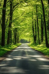 Obraz premium Serene road through lush green forest canopy in springtime with dappled sunlight and natural beauty
