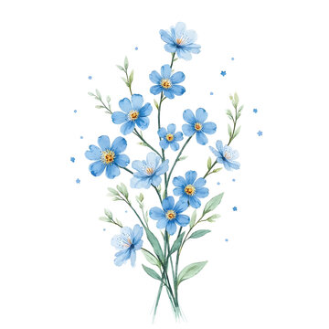bouquet of forget me not flowers, watercolor painting art