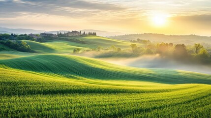 Rolling hills of green farmland with the sun rising in the background, ideal for promoting local agritourism.
