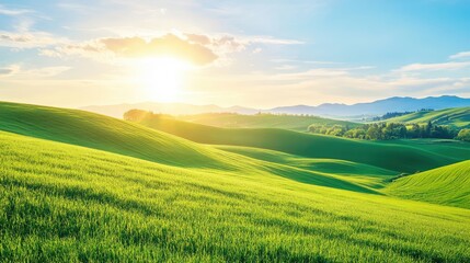 Obraz premium Rolling hills of green farmland with the sun rising in the background, ideal for promoting local agritourism.