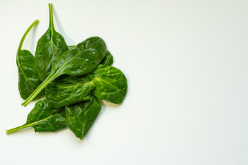 A bunch of spinach on a white background. A simple yet expressive composition conveys the idea of healthy eating, a nutritious lifestyle, and the freshness of natural products.