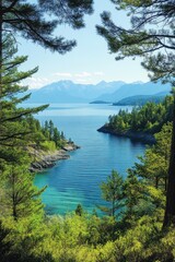 Serene mountain lake framed by lush green forest and towering pines creating a tranquil vista with clear blue water and distant peaks