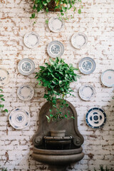 Decorative wall fountain with plates and lush greenery in a cozy interior setting