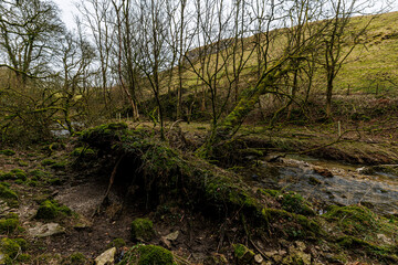 Malham Cove - Enroute to Janet's Foss waterfall, Yorkshire
