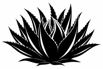 aloe vera plant line art silhouette vector illustration