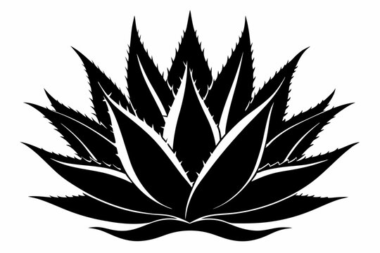 black and white agave plant graphic clip art preview