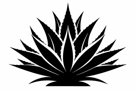 black agave plant silhouette on white background clip art preview