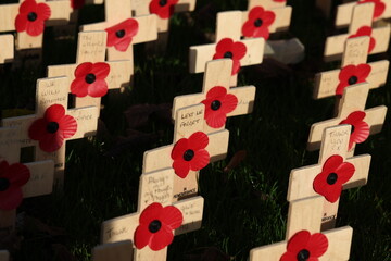 remembrance day red cross uk