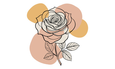 Linear rose minimalist floral art vector illustration, Line art Rose 