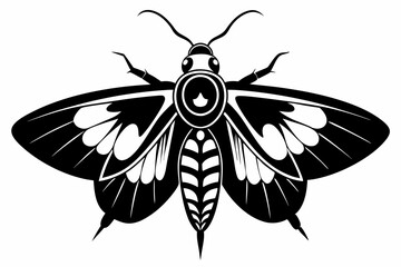 Obraz premium codling moth line art silhouette vector illustration