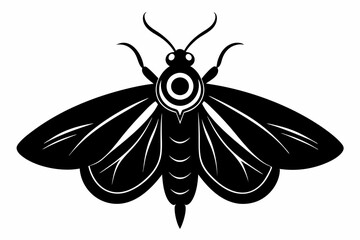 codling moth line art silhouette vector illustration