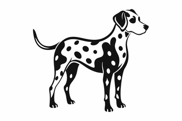 black and white dog