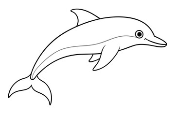 dolphin line art silhouette vector illustration