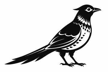 Fototapeta premium ein kuckuck line art silhouette vector illustration