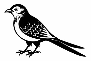 ein kuckuck line art silhouette vector illustration