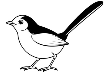 fairy wren line art silhouette vector illustration