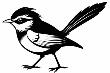 fairy wren line art silhouette vector illustration