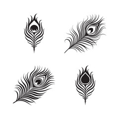 Peacock feathers, black and white silhouette vector art illustration