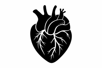 human heart organ line art silhouette vector illustration
