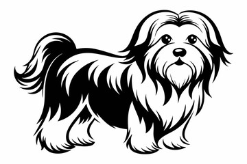 maltese dog line art silhouette vector illustration