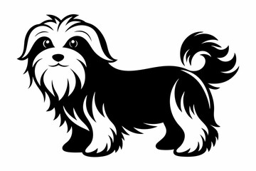 maltese dog line art silhouette vector illustration