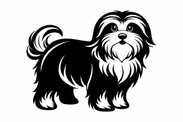 maltese dog line art silhouette vector illustration