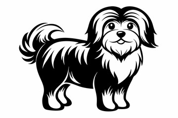 Obraz premium maltese dog line art silhouette vector illustration