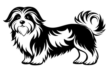 maltese dog line art silhouette vector illustration