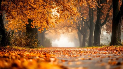 Autumnal Pathway: Golden Leaves and Misty Morning
