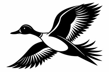 pintail duck flying line art silhouette vector illustration