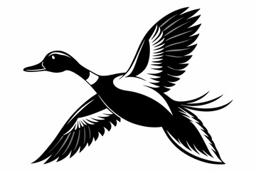 pintail duck flying line art silhouette vector illustration