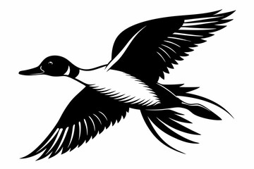 Obraz premium pintail duck flying line art silhouette vector illustration