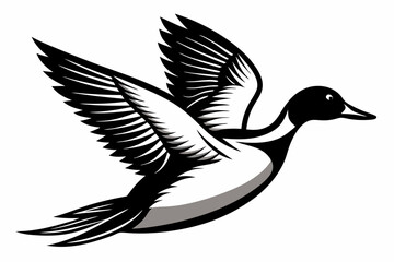 pintail duck flying line art silhouette vector illustration