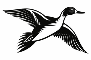 pintail duck flying line art silhouette vector illustration