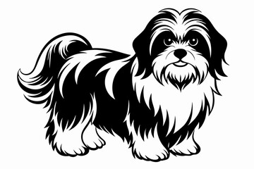 shih tzu line art silhouette vector illustration