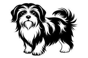 shih tzu line art silhouette vector illustration