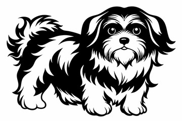 shih tzu line art silhouette vector illustration