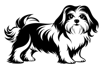 shih tzu line art silhouette vector illustration
