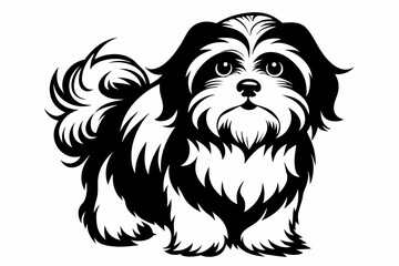 shih tzu line art silhouette vector illustration