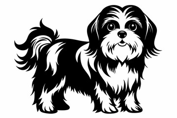 shih tzu line art silhouette vector illustration
