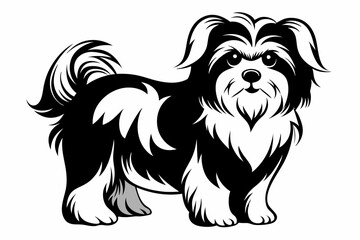 shih tzu line art silhouette vector illustration