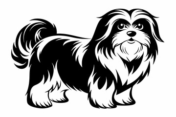 shih tzu line art silhouette vector illustration