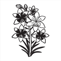 Vibrant Cardinal Flower &ndash; A Hummingbird&rsquo;s Delight