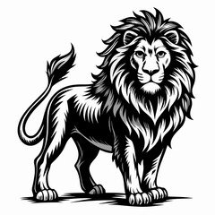 Majestic Lion  Illustration in Black and White Line Art