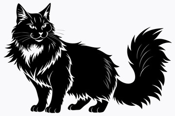  a maine coon cat is a very large breed line art silhouette vector illustration