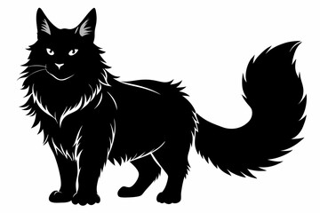  a maine coon cat is a very large breed line art silhouette vector illustration