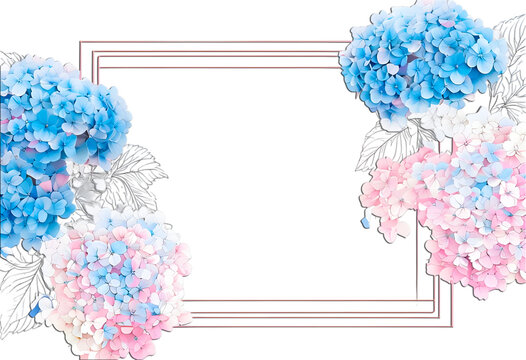 "Botanical Vector Frame Featuring Delicate Hydrangea Line Art in a Colorful and Enchanting Composition for Prints and Designs Transparent PNG image 