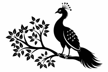 Obraz premium a peacock bird on a tree line art silhouette vector illustration