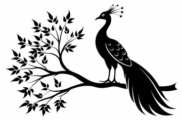  a peacock bird on a tree line art silhouette vector illustration